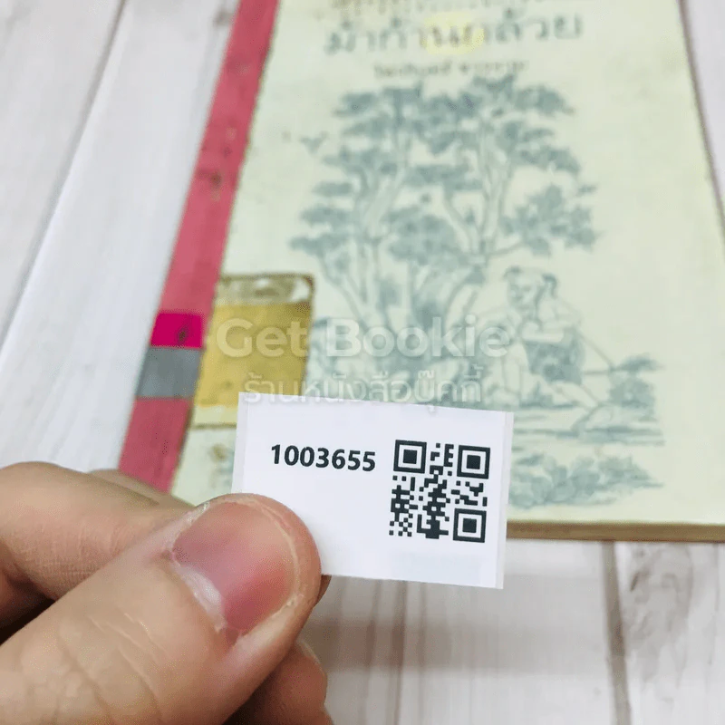 ม้าก้านกล้วย รูปที่ 14