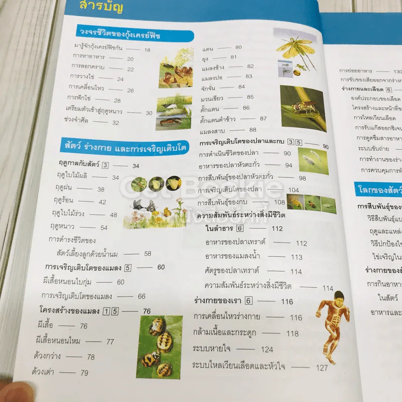 สารานุกรมวิทยาศาสตร์ เล่ม 3 รูปที่ 6