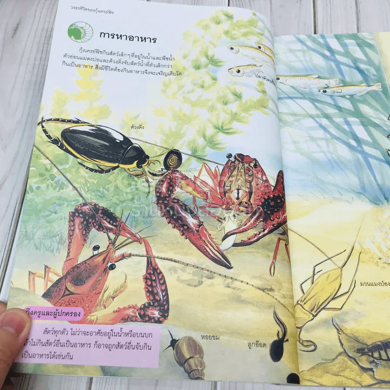 สารานุกรมวิทยาศาสตร์ เล่ม 3 รูปที่ 18