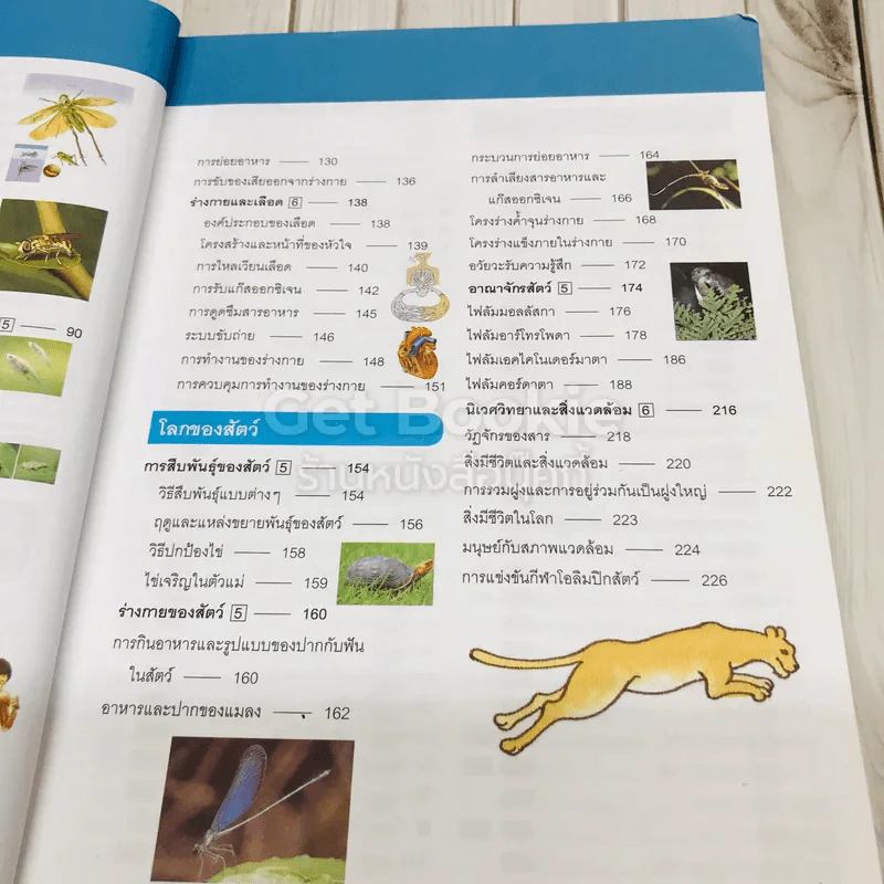 สารานุกรมวิทยาศาสตร์ เล่ม 3 รูปที่ 7
