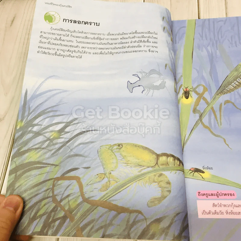 สารานุกรมวิทยาศาสตร์ เล่ม 3 รูปที่ 19