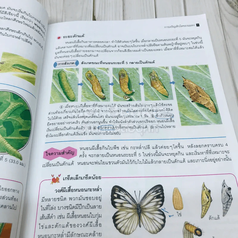 สารานุกรมวิทยาศาสตร์ เล่ม 3 รูปที่ 20