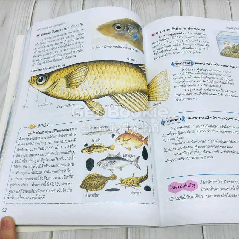 สารานุกรมวิทยาศาสตร์ เล่ม 3 รูปที่ 21