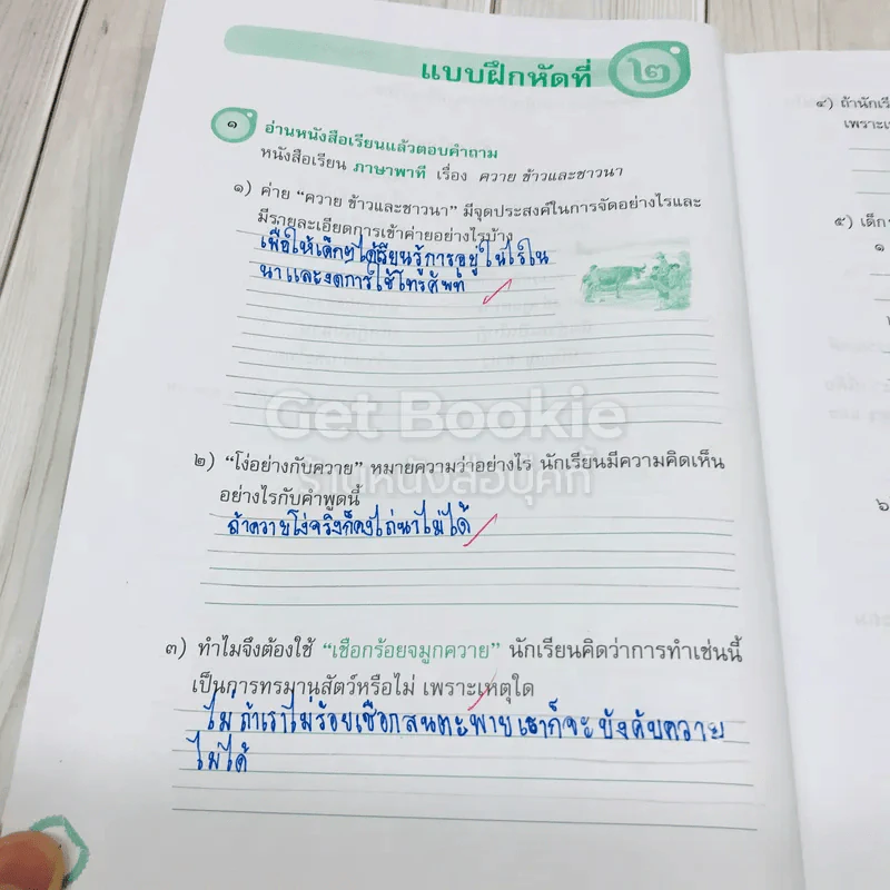 ทักษะภาษา ชั้นประถมศึกษาปีที่ 6 รูปที่ 9
