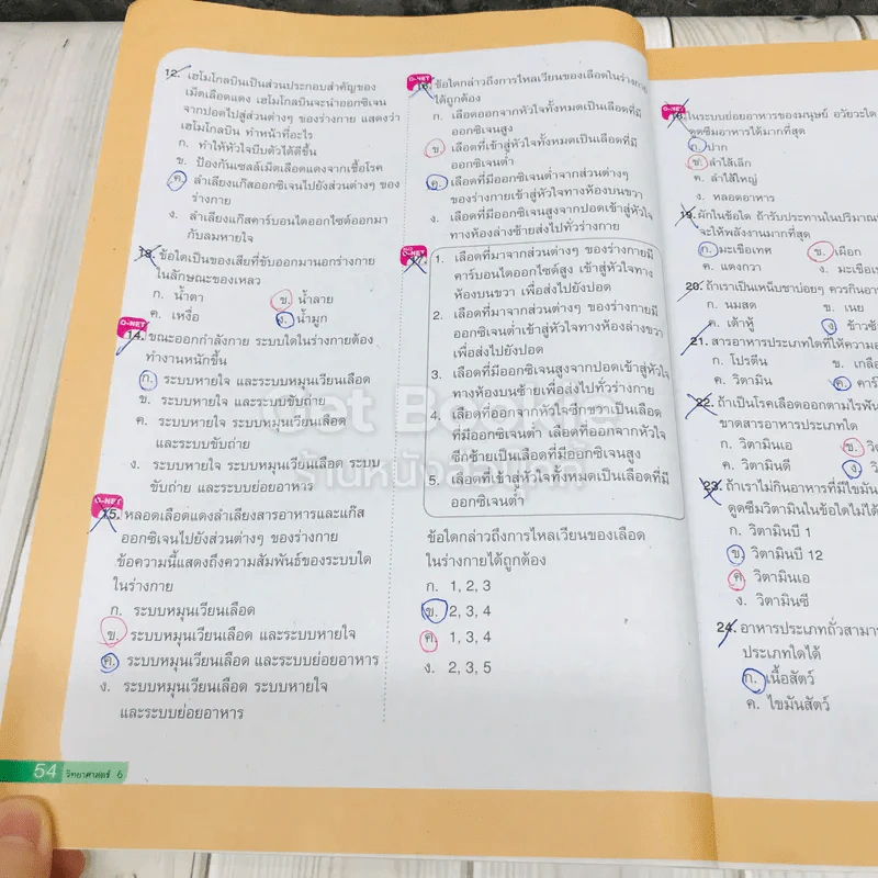 วิทยาศาสตร์ ป.6 รูปที่ 11