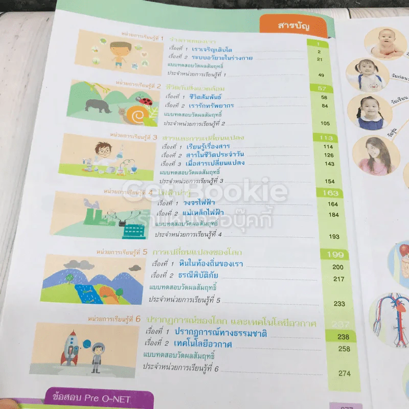 วิทยาศาสตร์ ป.6 รูปที่ 5