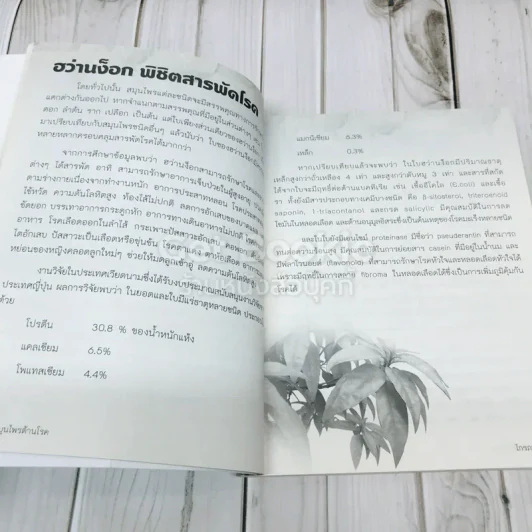 สูตรเด็ด สมุนไพรต้านโรค รูปที่ 8