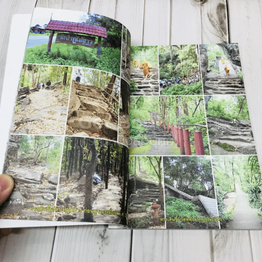 พ้นทุกข์ด้วยตนเอง รูปที่ 8
