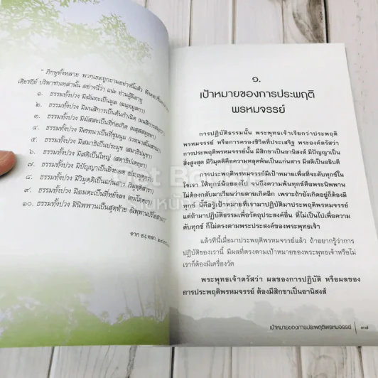 พ้นทุกข์ด้วยตนเอง รูปที่ 10