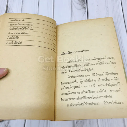 เมียน้อยขาดตลาด รูปที่ 7