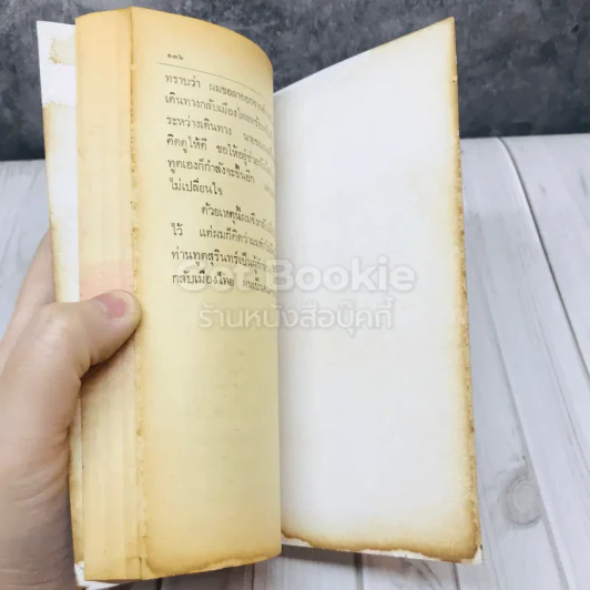 คนรับใช้ทูต รูปที่ 7