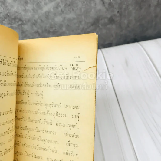 คนรับใช้ทูต รูปที่ 8