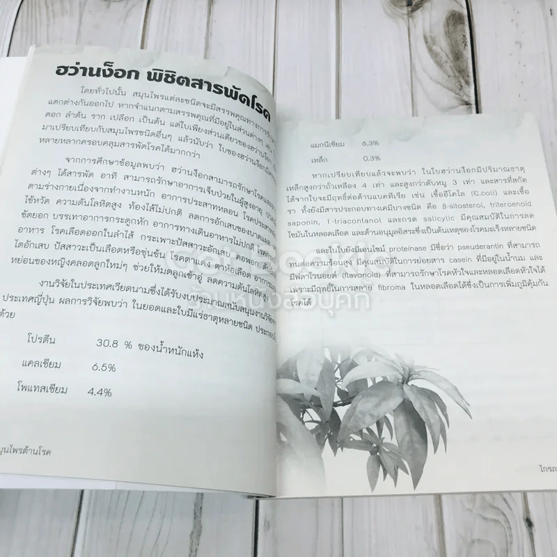 สูตรเด็ด สมุนไพรต้านโรค รูปที่ 8