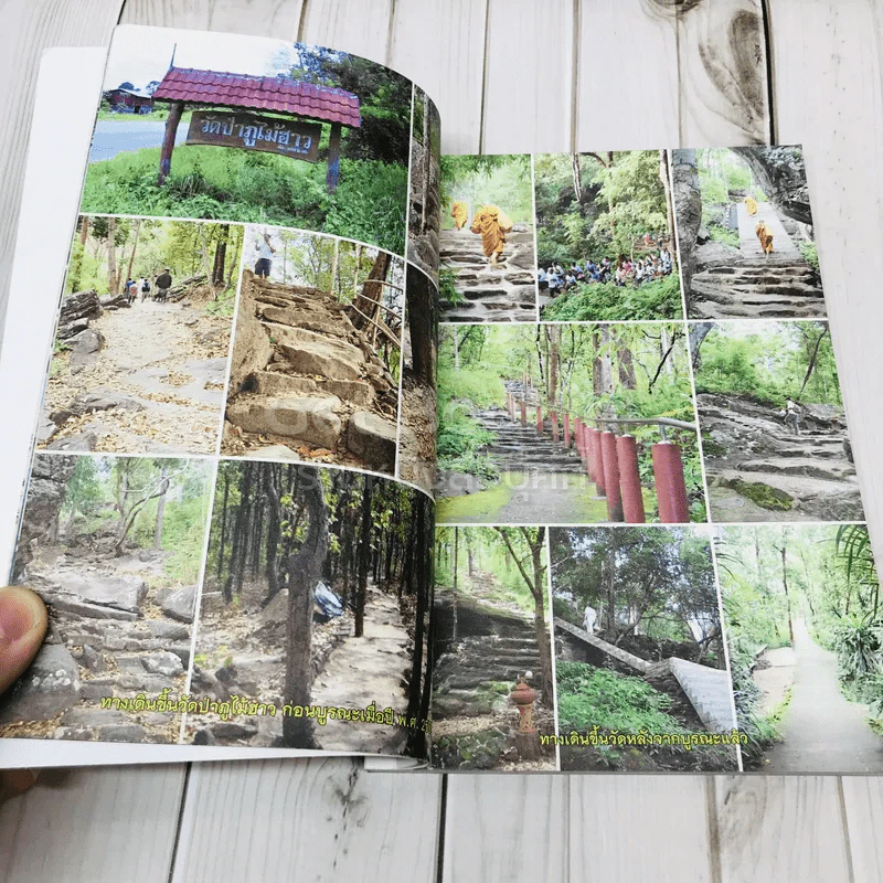 พ้นทุกข์ด้วยตนเอง รูปที่ 8