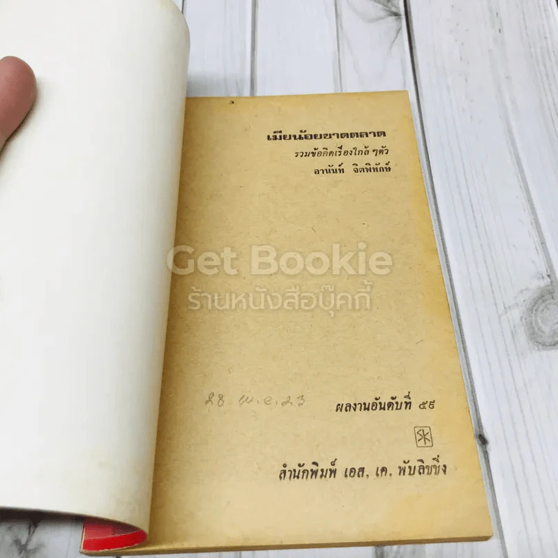 เมียน้อยขาดตลาด รูปที่ 4