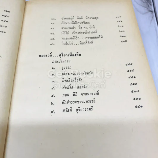 เยือนสแกนดิเนเวีย รูปที่ 13