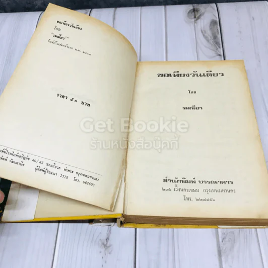 ขอเพียงวันเดียว - รมณียา รูปที่ 8