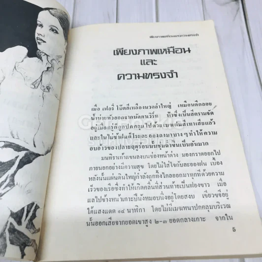 เพียงภาพเหมือนและความทรงจำ รูปที่ 8