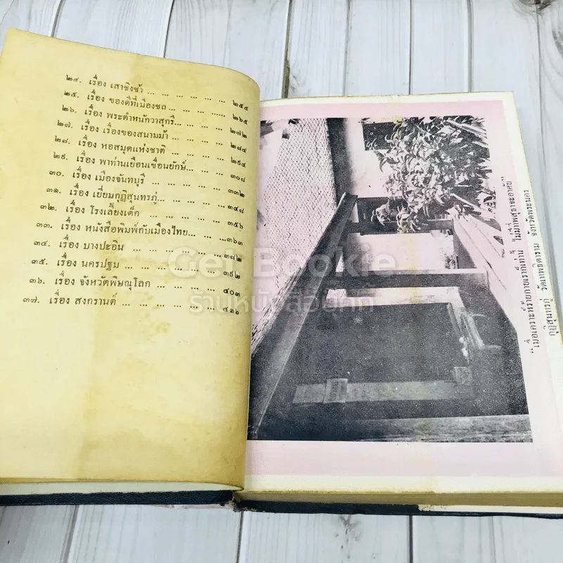 สารคดีรอบเมืองไทย - โอภาส เสวิกุล รูปที่ 10