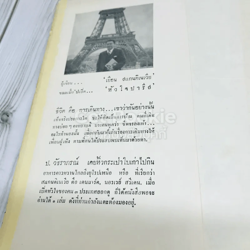เยือนสแกนดิเนเวีย รูปที่ 7