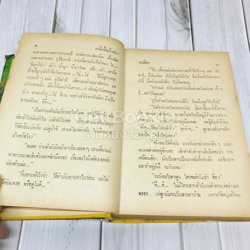 ขอเพียงวันเดียว - รมณียา รูปที่ 10