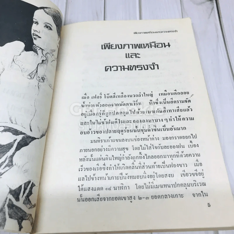 เพียงภาพเหมือนและความทรงจำ รูปที่ 8