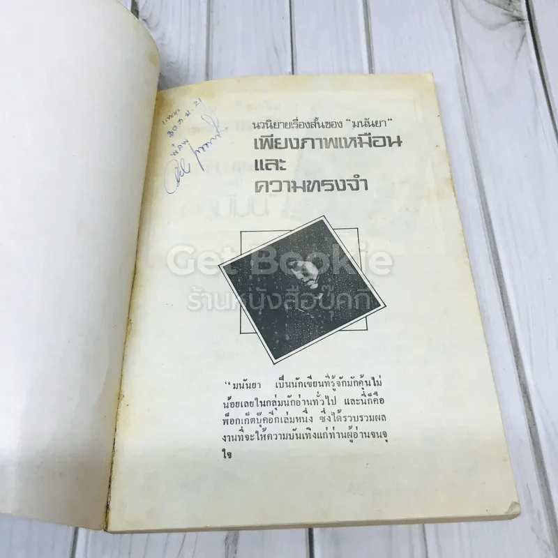 เพียงภาพเหมือนและความทรงจำ รูปที่ 6