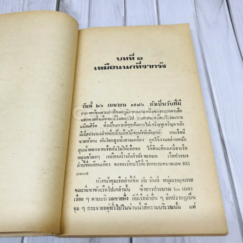 คนเรือ รูปที่ 10