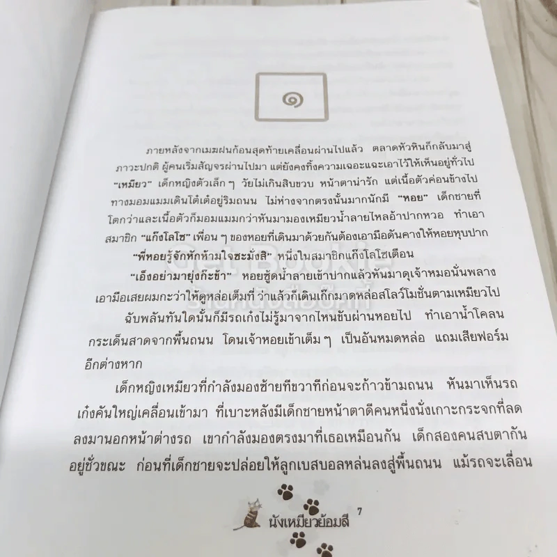 นังเหมียวย้อมสี รูปที่ 8