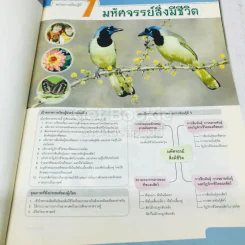 วิทยาศาสตร์ ป.5 รูปที่ 9