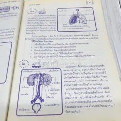 สปช.แนวใหม่ ชั้นประถมศึกษาปีที่ 5 รูปที่ 13