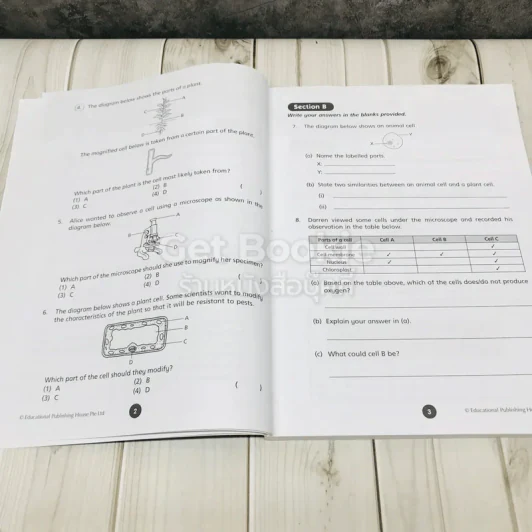 Science Weekly Revision Primary 5 รูปที่ 10