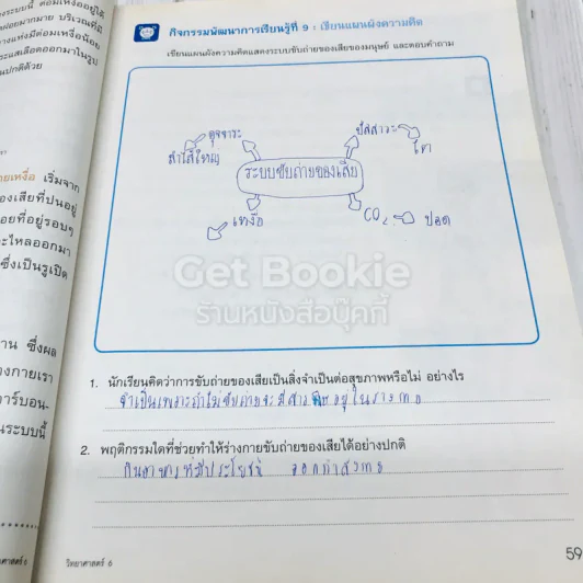 วิทยาศาสตร์ ป.6 รูปที่ 13