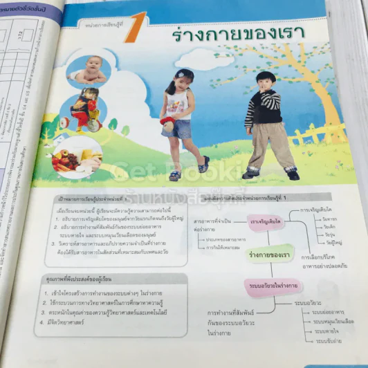 วิทยาศาสตร์ ป.6 รูปที่ 8
