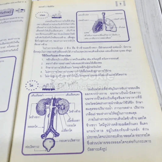 สปช.แนวใหม่ ชั้นประถมศึกษาปีที่ 5 รูปที่ 13
