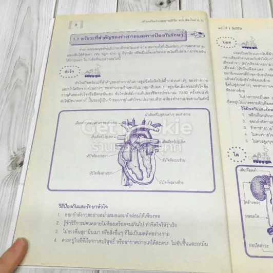 สปช.แนวใหม่ ชั้นประถมศึกษาปีที่ 5 รูปที่ 12