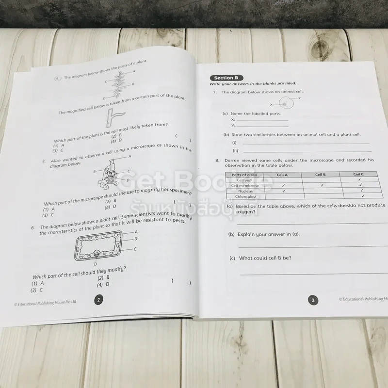 Science Weekly Revision Primary 5 รูปที่ 10