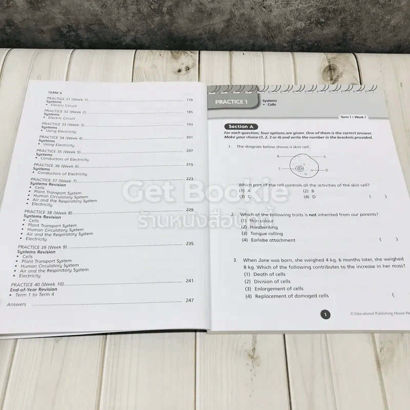 Science Weekly Revision Primary 5 รูปที่ 9
