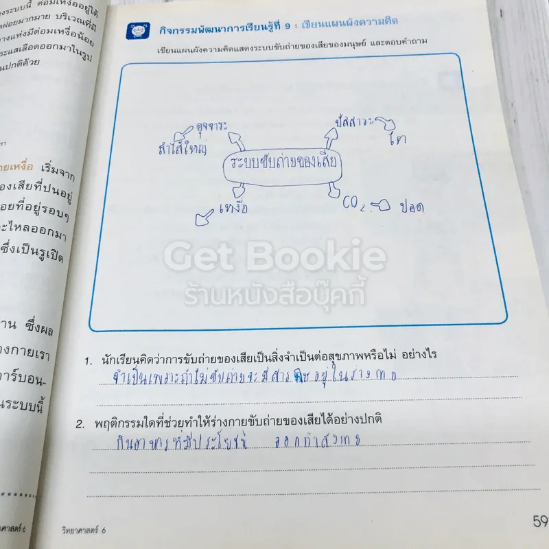 วิทยาศาสตร์ ป.6 รูปที่ 13