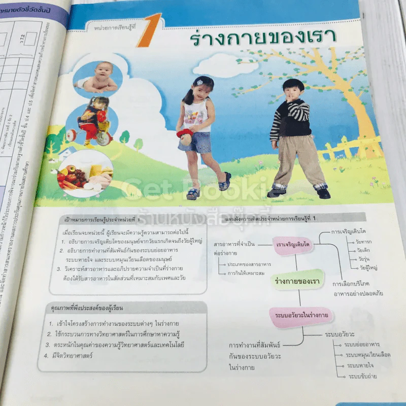 วิทยาศาสตร์ ป.6 รูปที่ 8