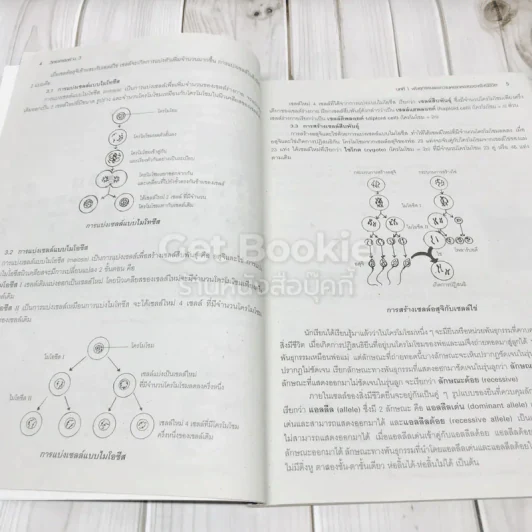 คู่มือเตรียมสอบวิทยาศาสตร์ ม.3 รูปที่ 10