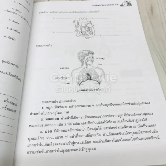 วิทยาศาสตร์ ป.6 รูปที่ 9