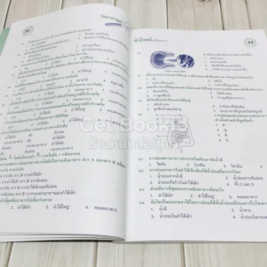 ติวโจทย์เตรียมสอบวิทยาศาสตร์ ป.6 รูปที่ 11