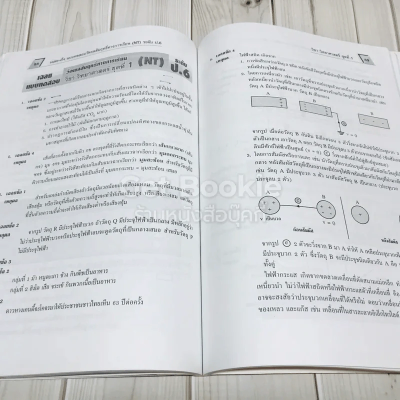 เฉลย-เก็ง NT ป.6 เข้า ม.1 รูปที่ 13