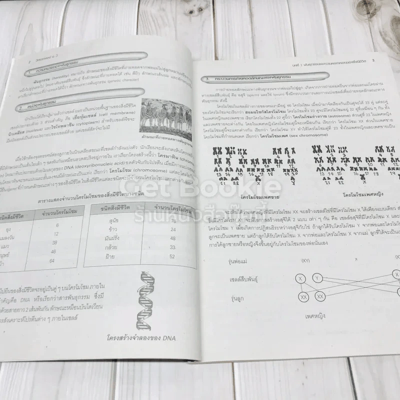 คู่มือเตรียมสอบวิทยาศาสตร์ ม.3 รูปที่ 9