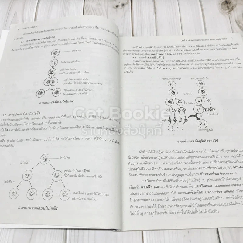 คู่มือเตรียมสอบวิทยาศาสตร์ ม.3 รูปที่ 10