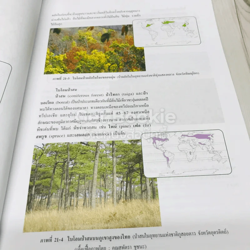 ชีววิทยา เล่ม 6 ชั้นมัธยมศึกษาปีที่ 6 รูปที่ 10