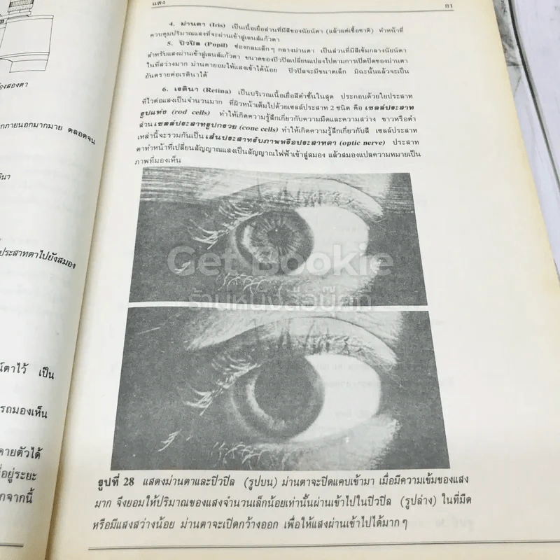 คู่มือวิทยาศาสตร์คำนวณ ม.ต้น รูปที่ 14