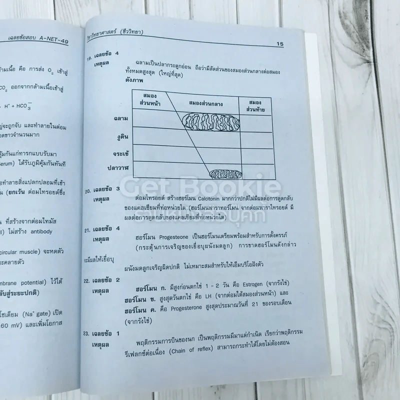 เฉลยข้อสอบ A-Net 49-50-51 รูปที่ 16