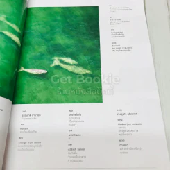 Feature Magazine สารคดี ฉบับที่ 515 มาเรียม สู่พะยูน 250 ตัวสุดท้ายในประเทศไทย รูปที่ 6